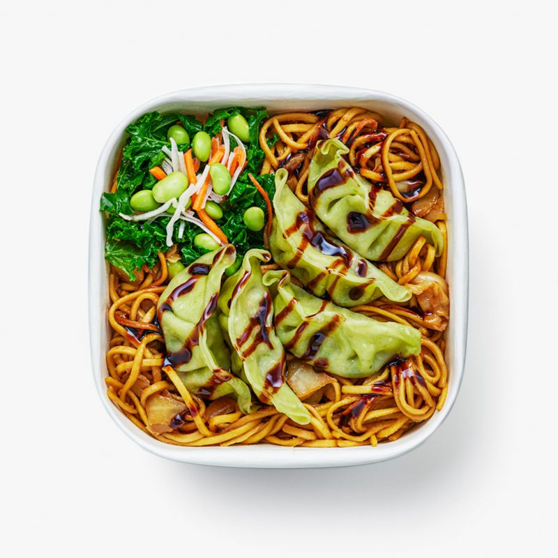 Vegetable Gyoza Yakisoba Bento (Fried)