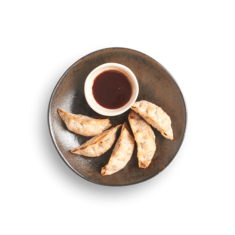 duck gyoza