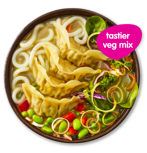 chicken gyoza noodle bowl